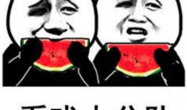 免费吃瓜表情包图片大全,趣味横生的网络狂欢盛宴